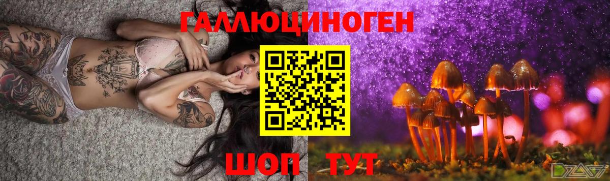 сколько стоит  Галлюциногенные грибы мицелий  Берёзовский  Вход с VPN  Галлюциногенные грибы GOLDEN TEACHER 